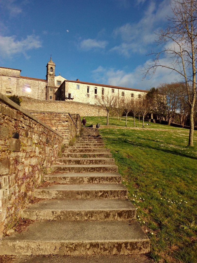 tourism, the way forward, travel, history, no people, tree, park, stone wall, the past, building exterior, stone, cloud - sky, ruined, travel destinations