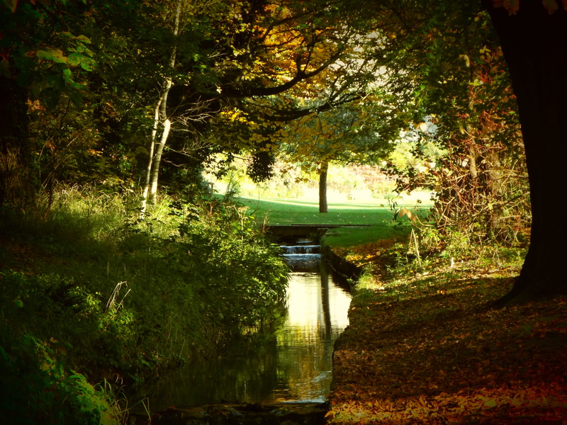 tranquility, day, forest, beauty in nature, no people, outdoors, connection, lake, leeds castle, bridge, 4K, architecture, built structure, green color
