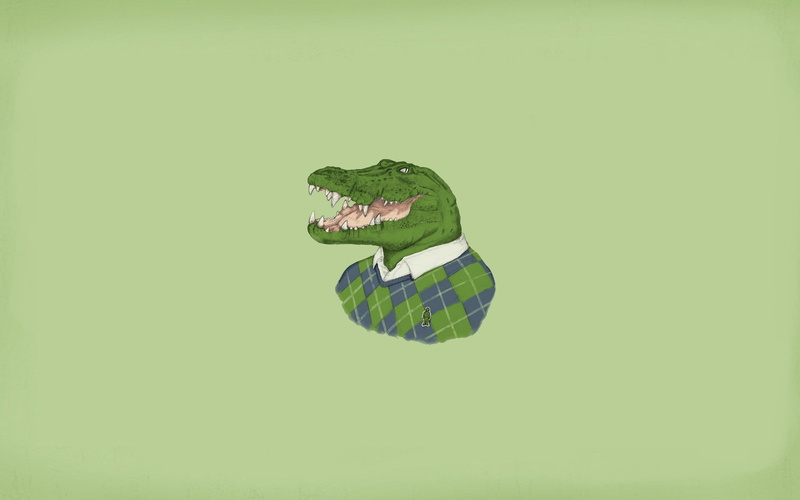 1080P, animal wildlife, no people, water, crocodiles, animal themes, colored background, animal, green color, animals, day, copy space, vertebrate, nature