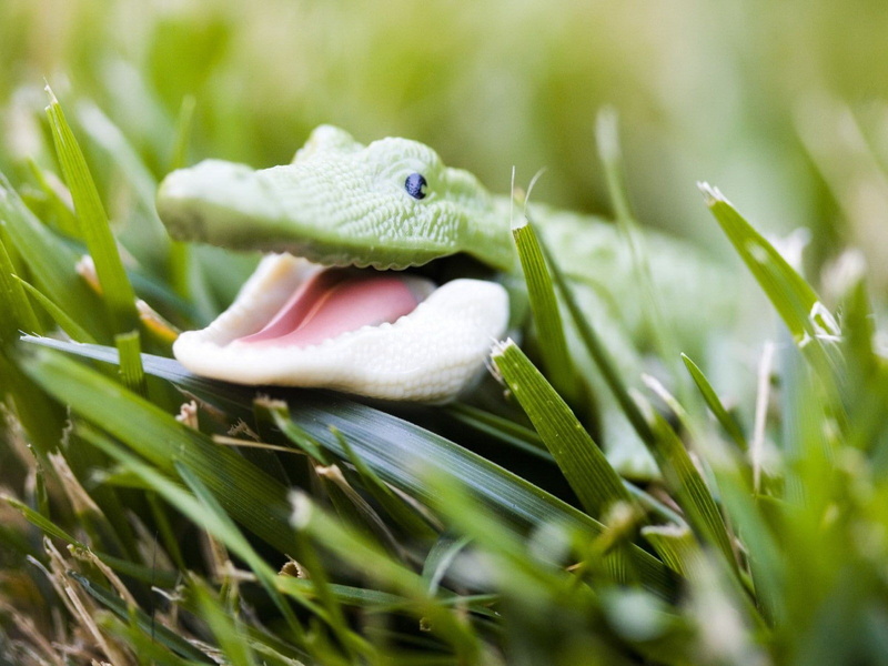 crocodiles, 720P, reptiles, grass, Toy