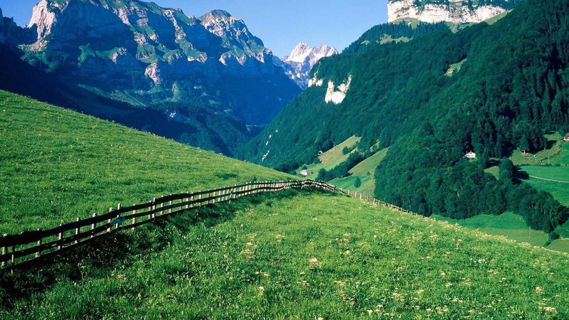 fence, trees, alps, wonderful, 1080P, nature and landscapes, mountains, swiss, meadow