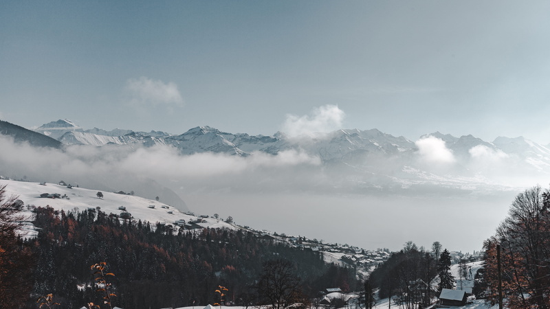 misty, snow, winter, coniferous tree, sky, fog, switzerland, swiss alps, alps, mountain, scenics - nature, mountain range, cloud - sky, cold temperature