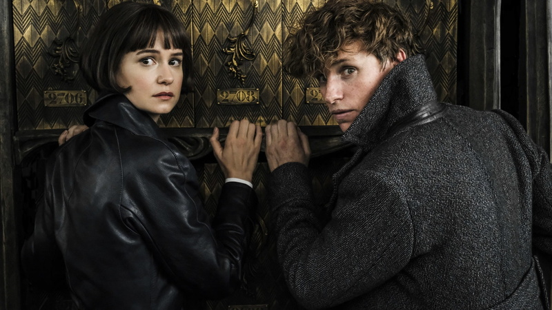 Movie, Katherine Waterston, Eddie Redmayne, Fantastic Beasts: The Crimes of Grindelwald, Newt Scamander, 1080P