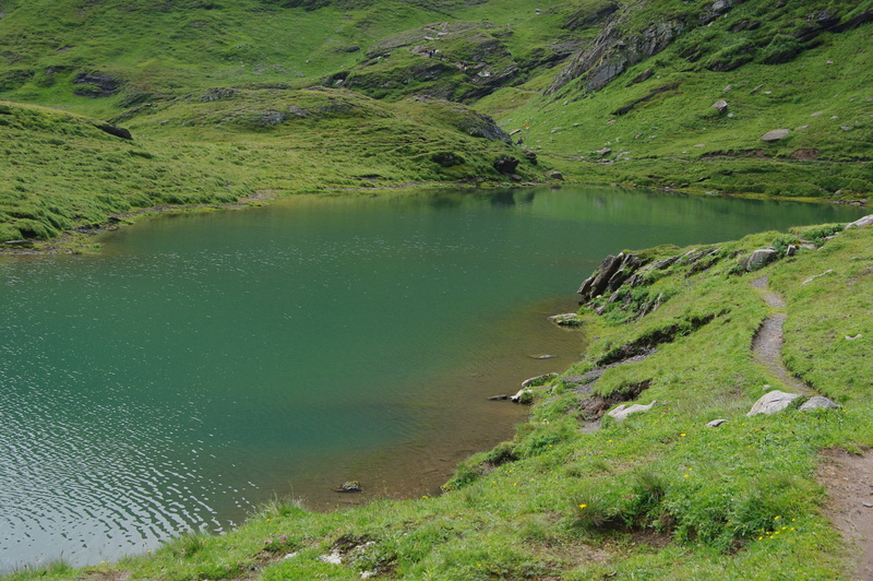 2K, non-urban scene, switzerland, tranquility, nature, tree, environment, water, land, flowing, idyllic, no people, plant, grindelwald, mountain lake