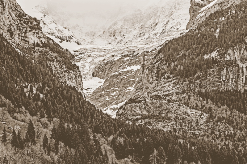 coniferous tree, adventure, grindelwald, explore, tree, plant, nature, non-urban scene, switzerland, environment, cold temperature, trees, snowcapped mountain
