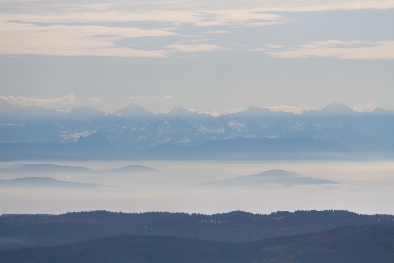 bernese oberland, tranquility, fog, 2K, sunset, mountain, idyllic, outlook, sky, mountain range, tree, outdoors, switzerland, view of the alps, environment