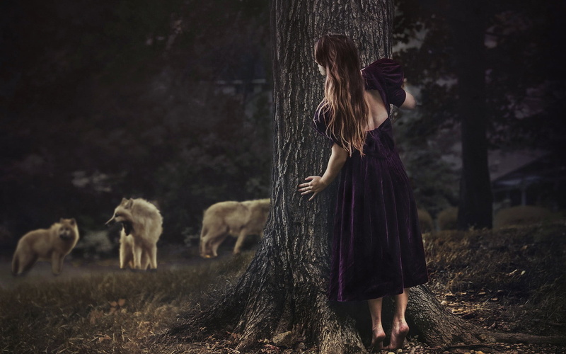 long hair, women, rear view, animals, hairstyle, lifestyles, domestic animals, pets, vertebrate, women outdoors, dark, land, full length, hair, wolf, girls