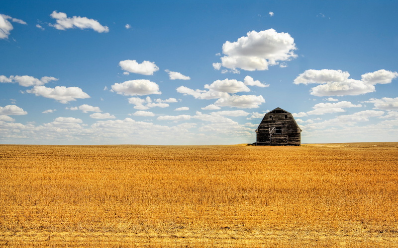 house, nature and landscape, field, small, 2K, quiet