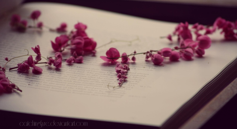 book, quiet, purple, 1080P, soft, memories, flowers, nature and landscapes, place