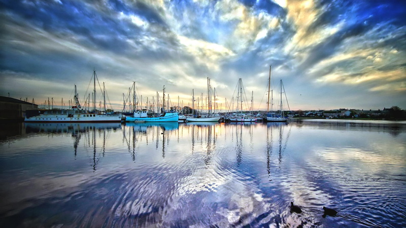 quiet, marina, boats, 1080P, reflection, ducks, harbor, clouds