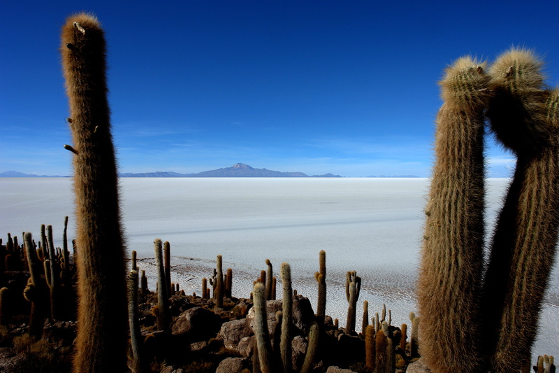 salar uyuni, day, blue, land, no people, salt flat, water, nature, 4K, sky, sea, exotico, beauty in nature, Cactus, clear sky, travel, beach, holiday