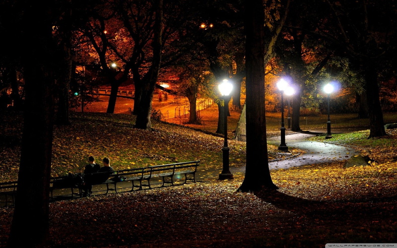 park, 720P, night, lantern
