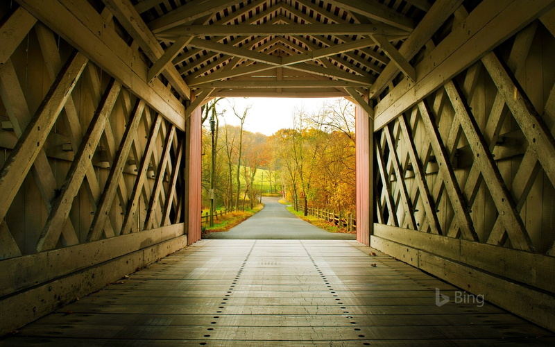 ceiling, yorklyn, architecture, nature, long, indoors, deskt, bing, wood - material, delaware, the way forward, metal, tree, direction, bridge - man made structure