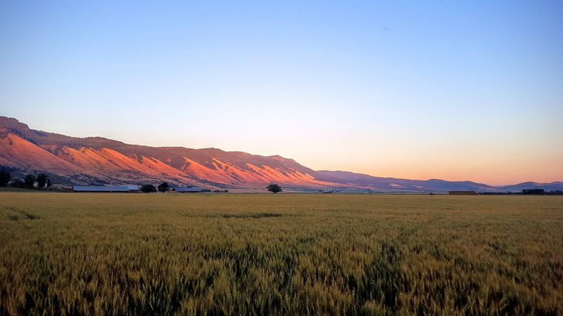 field, wheat, mountains, dusk, 2K, Oregon