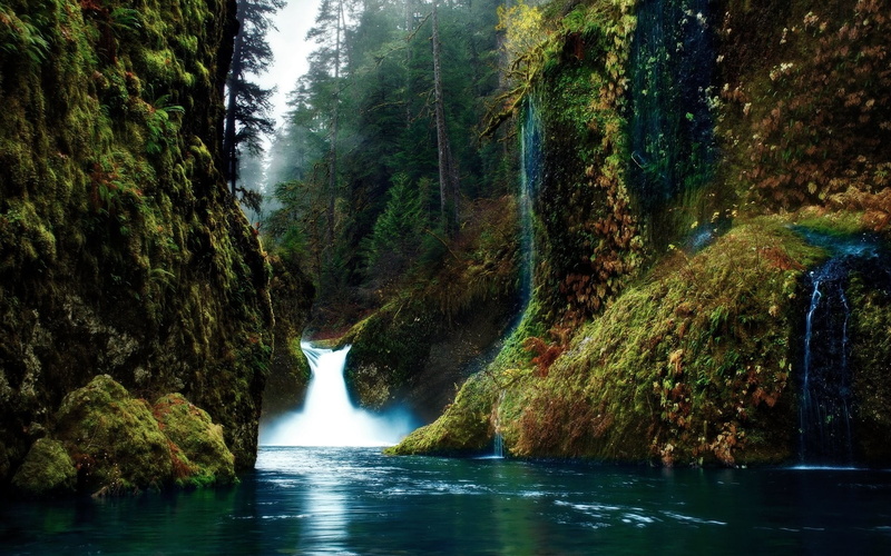 long exposure, water, power in nature, leafed, scenics - nature, falling water, tranquility, USA, beauty in nature, non-urban scene, outdoors, landscape