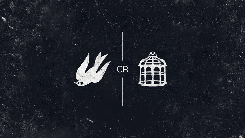 grunge, video games, BioShock, cages, 1080P, birds, minimalism, BioShock Infinite