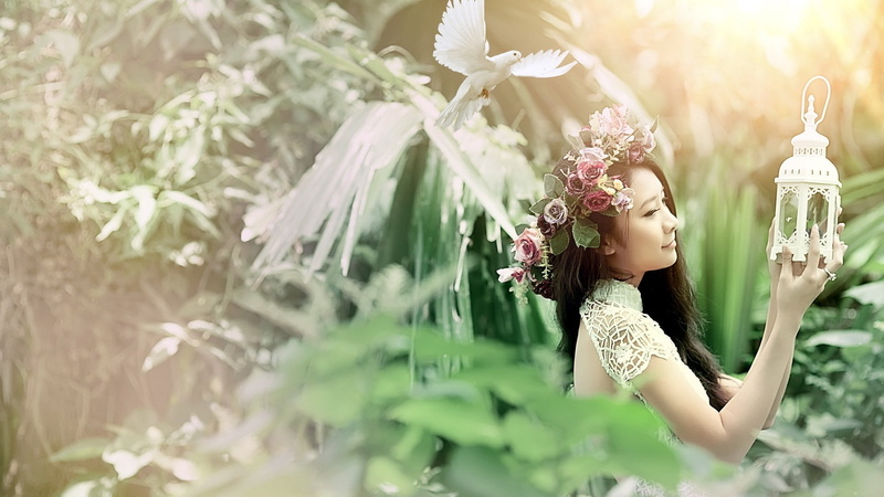 lantern, 1080P, flower, tree, portrait, flowering plant, women, plant part, young women, nature, selective focus, outdoors, plant, dove, netted, one person