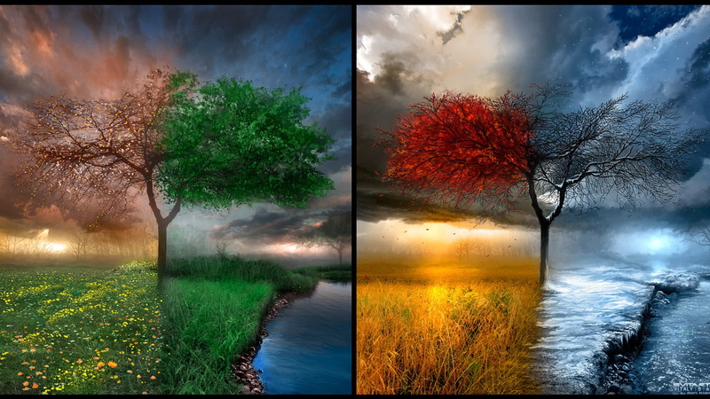 no people, reflection, digital composite, 1080P, tree, sky, tranquil scene, outdoors, plant, scenics - nature, green, landscape, artworks, growth, red