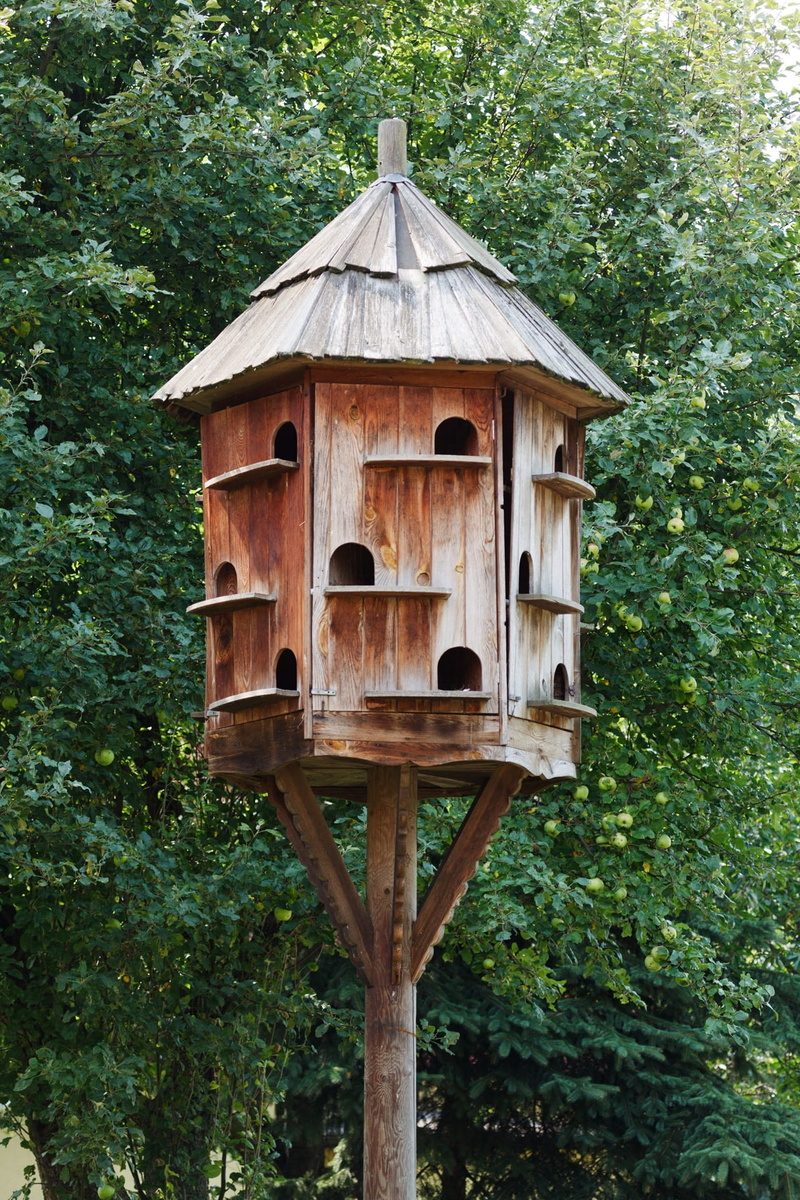 shelter, brown, pigeons, Dove, Dovecot, Brown, animal Nest, birds Nest, green color, dovecote, built structure, wooden, 1080P, day, tree, holes, low angle view