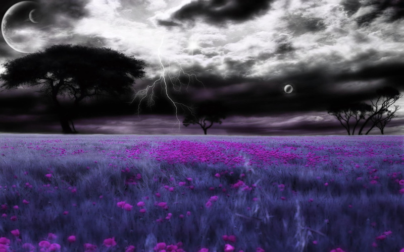 1080P, little, world, fantas, fields, abstract, 3d and abstract, peace, mad