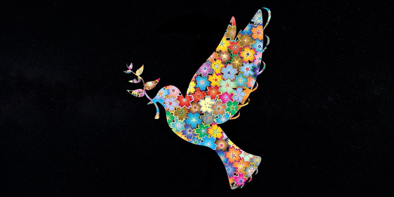 Artistic, Colors, 1080P, Dove, Colorful, Peace, Leaf, Flower