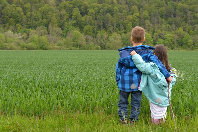 field, day, meadow, two people, boys, joy, affection, best, hand, community, rear view, casual clothing, blue, positive emotion, young, offspring, boy