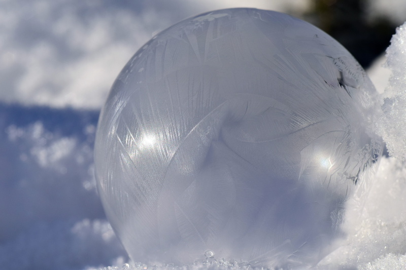 winter, silver colored, animal, outdoors, transparent, sphere, ice, reflection, toy, christmas, photo, nature, tender, beautiful, design, close-up, bubble