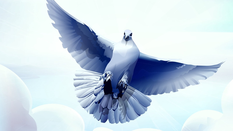outdoors, nature, 1080P, computer Graphic, dove, bird, symbol, animal themes, no people, sunlight, blue, white, animal Wing, three Dimensional, spread wings