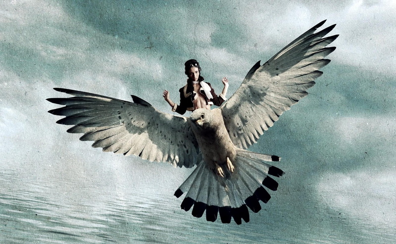 animal Wing, fly, freedom, mid-air, photo, sky, one animal, girl, one person, woman, 1080P, animal wildlife, angel, pigeon, riding, feather, wings, full length