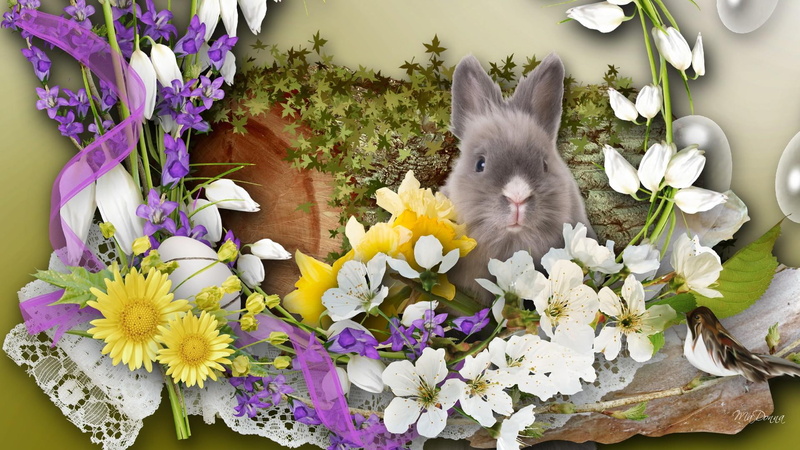 flowers, daffodils, snowdrops, illustration, white, bunny, ribbons, gray, easter, cherry blossoms, bird, yellow, natures, spring, 1080P, show, surrounded