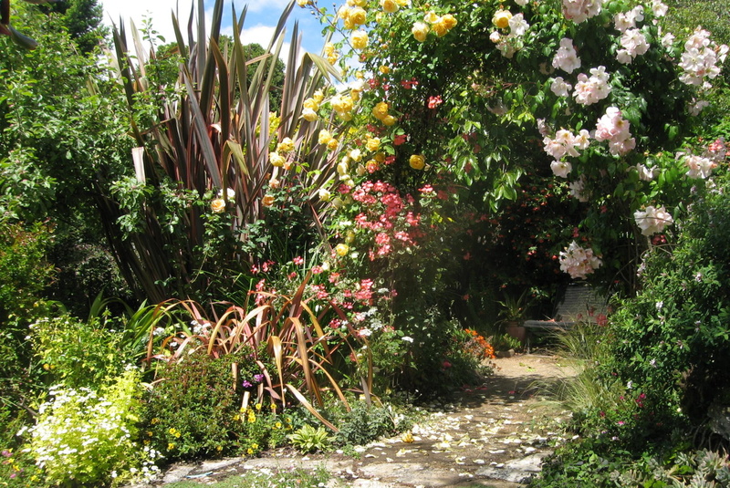 nature and landscapes, rose arch, center, 1080P, flowers, arch, garden