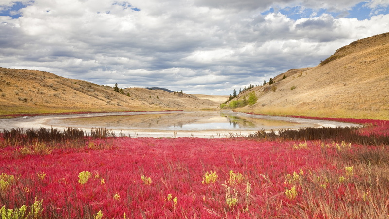 park, columbia, grasslands, art, Field, Canada, lac, 1080P, British Columbia, fields, nature, hd, du, Lac Du Bois Grasslands Park, bois, british