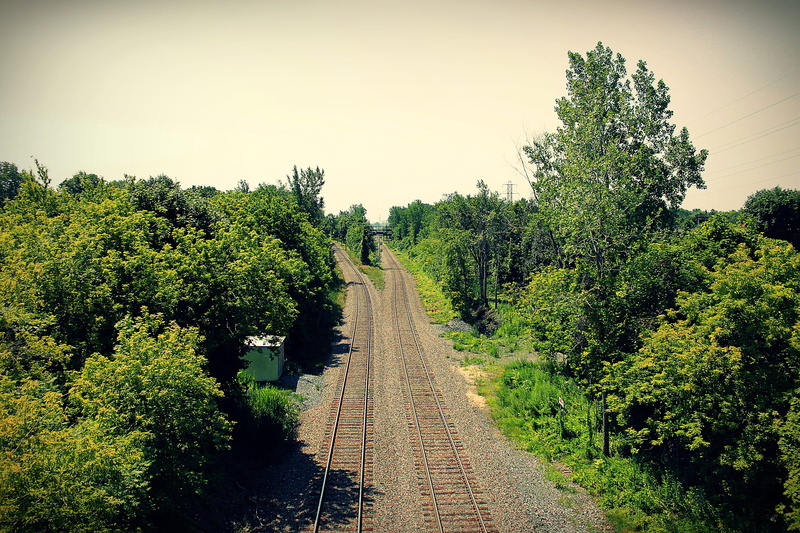 trees, the way forward, tranquil scene, sky, nature, diminishing perspective, train tracks, no people, beauty in nature, tree, direction, land, clear sky