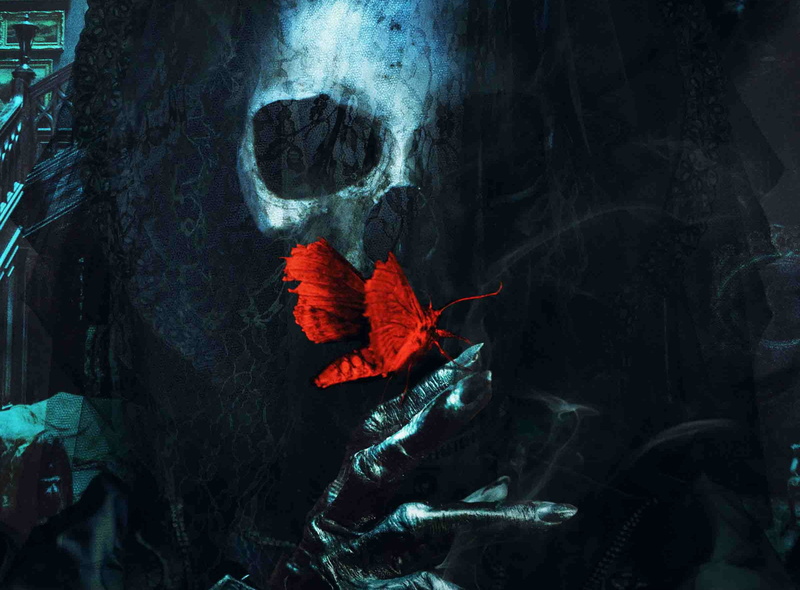 horror, poster, nature, autumn, outdoors, plant part, plant, Ghost, supernatural, drama, leaf, change, Darl, Gothic, crimson, isolated color, fantasy, day