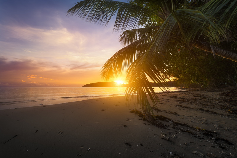 no people, scenics - nature, outdoors, water, Seychelles, palm tree, tree, nature, sky, coconut, tranquil scene, sand, 8K, tropical climate, horizon over water