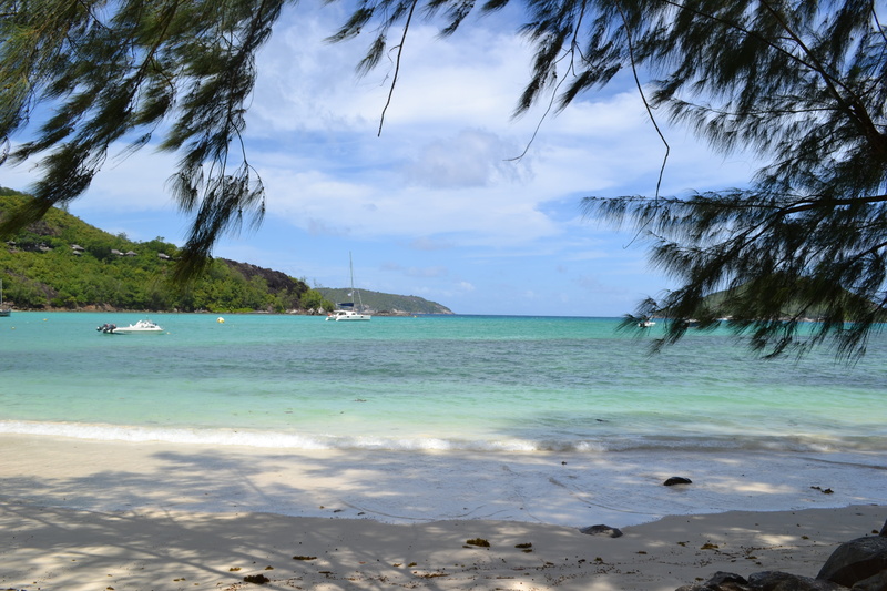 Island, day, tranquil scene, plant, turquoise, scenics, no people, outdoors, sailboat, land, cloud - sky, island, scenics - nature, mahe, tranquility, turquoise colored