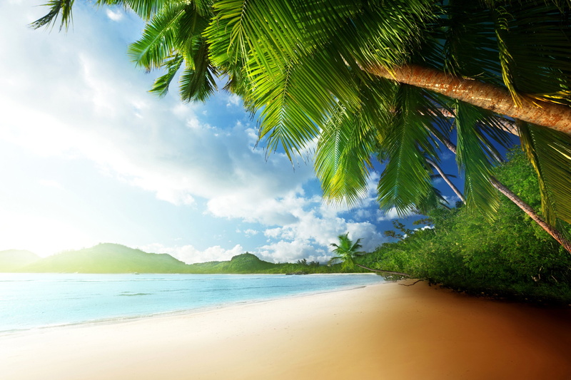 tropics, beach, coast, nature, 2K, seychelles, island, mahe, clouds, palma
