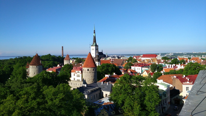 4K, plant, high angle view, tallinn, built structure, architecture, residential district, middle ages, cityscape, estonia, day, nature, historic center