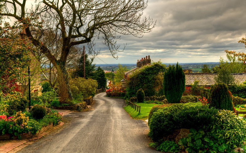 field, Trees, covered, Horwich, 2K, Road, Town, grass, England, Houses