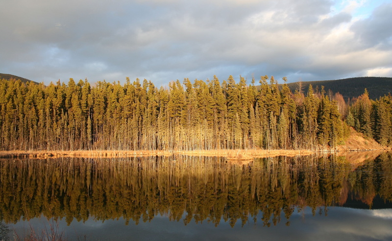 cloud - sky, lake, tree, plant, mountain, Canada, scenics - nature, morfee mountain, sky, tranquil scene, beauty in nature, land, reflection lake, Morfee