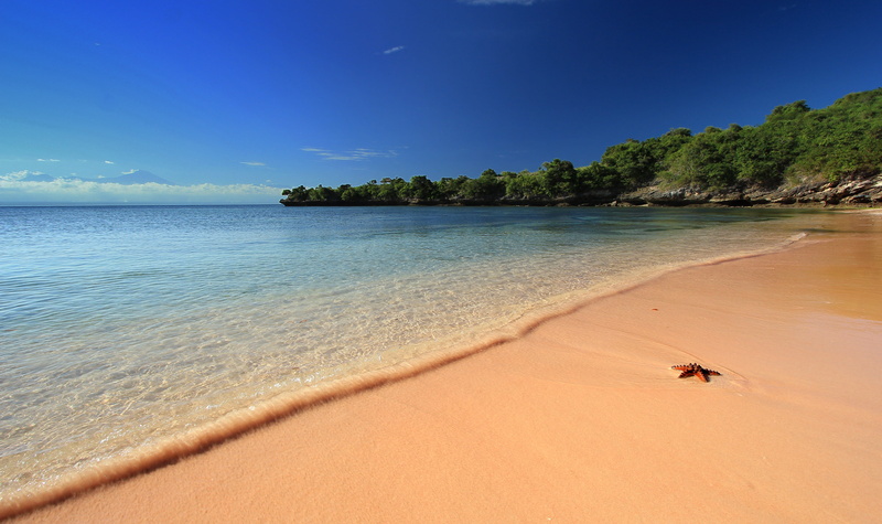 travel destinations, tree, no people, holiday, nature, sky, beach, 5K, beauty in nature, summer, tranquility, trip, vacations, blue, land, tropical climate