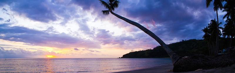 Palm, Lombok, 4K, Silhouette, Nusa, Tenggara, West, Sunset, Indonesia, Tree