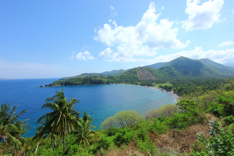 plant, bukit malimbu, no people, ocean, tranquil scene, nusatenggarabarat, nature, summer, 5K, promontory, mountain, shoreline, peninsula, green color