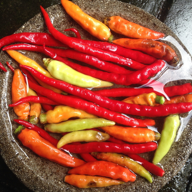 high angle view, directly above, chili pepper, condiment, spice, lombok, food and drink, ingredient, still life, spicy, close-up, table, pepper, red chili pepper