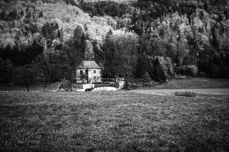 land, no people, architecture, beauty in nature, built structure, tranquil scene, bw, growth, blackandwhite, germany, park - man made space, 4K, park