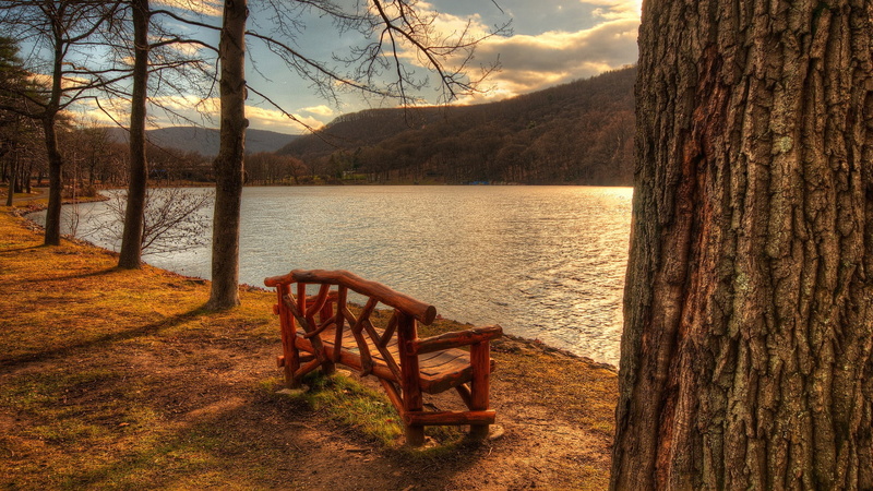 nature, 1080P, lakeside, lake, bench, brown, photography, wooden