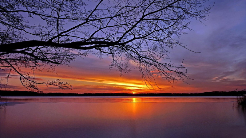 lake, silhouette, lakeside, tree, nature, 1920x1080, sunset, 1080P, int