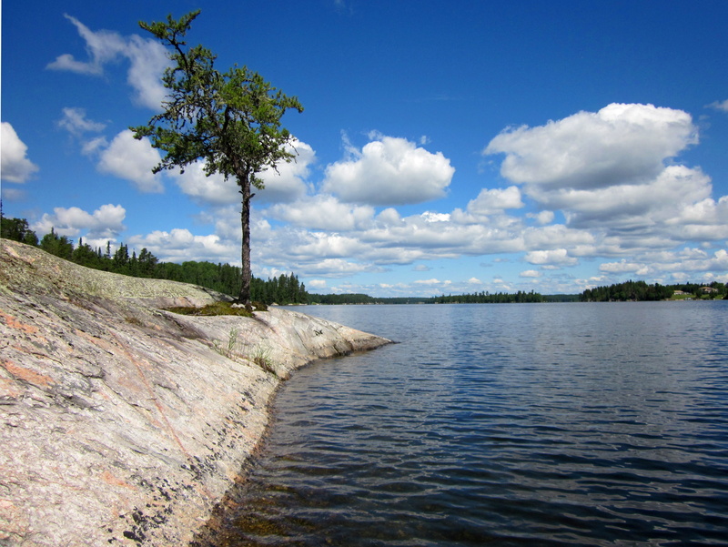 4K, idyllic, precambrian, tree, no people, plant, non-urban scene, day, lake, sunlight, Lake Of The Woods, lakeside, Rock, outdoors, cloud - sky, tranquility