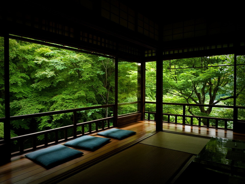 transparent, architecture, tranquility, no people, 1080P, growth, green color, Tree, built structure, plant, Veranda, nature, day, window, domestic room