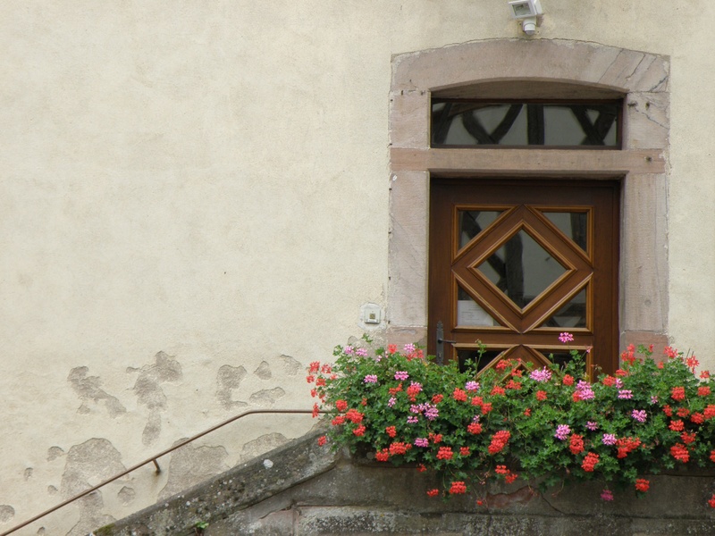 veranda, beauty in nature, window, wall, geraniums, entrance, day, flowering plant, plant, growth, building exterior, nature, door, no people, architecture